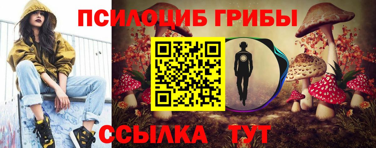 Реж  Псилоцибиновые грибы Psilocybe  Вход с VPN  Псилоцибиновые грибы мухоморы 